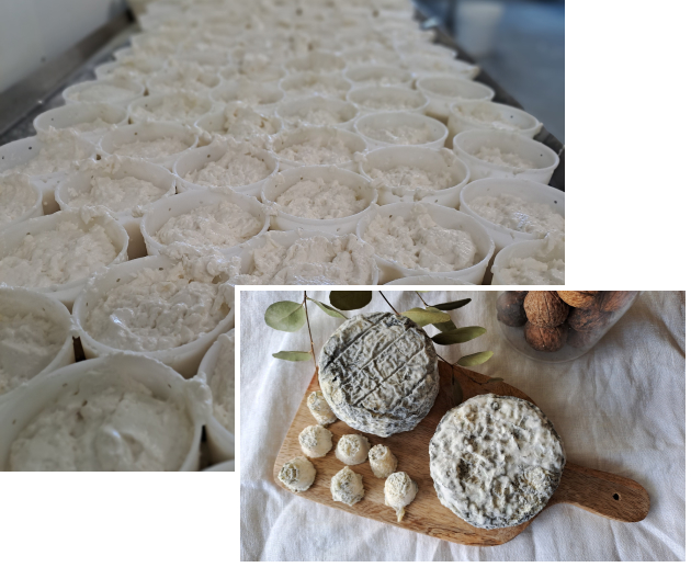 fabrication artisanale de fromage à Vierzon près de Bourges dans le Cher 18