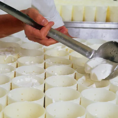 fabrication de fromage à Vierzon près de Bourges dans le Cher 18