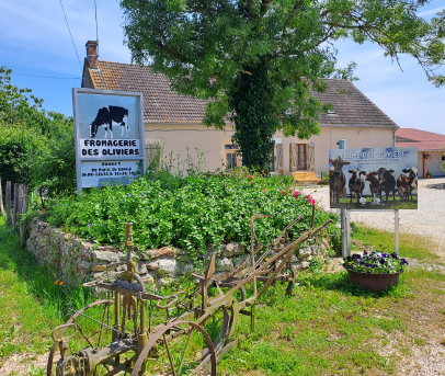 fromages de chèvres à Vierzon près de Bourges dans le Cher 18
