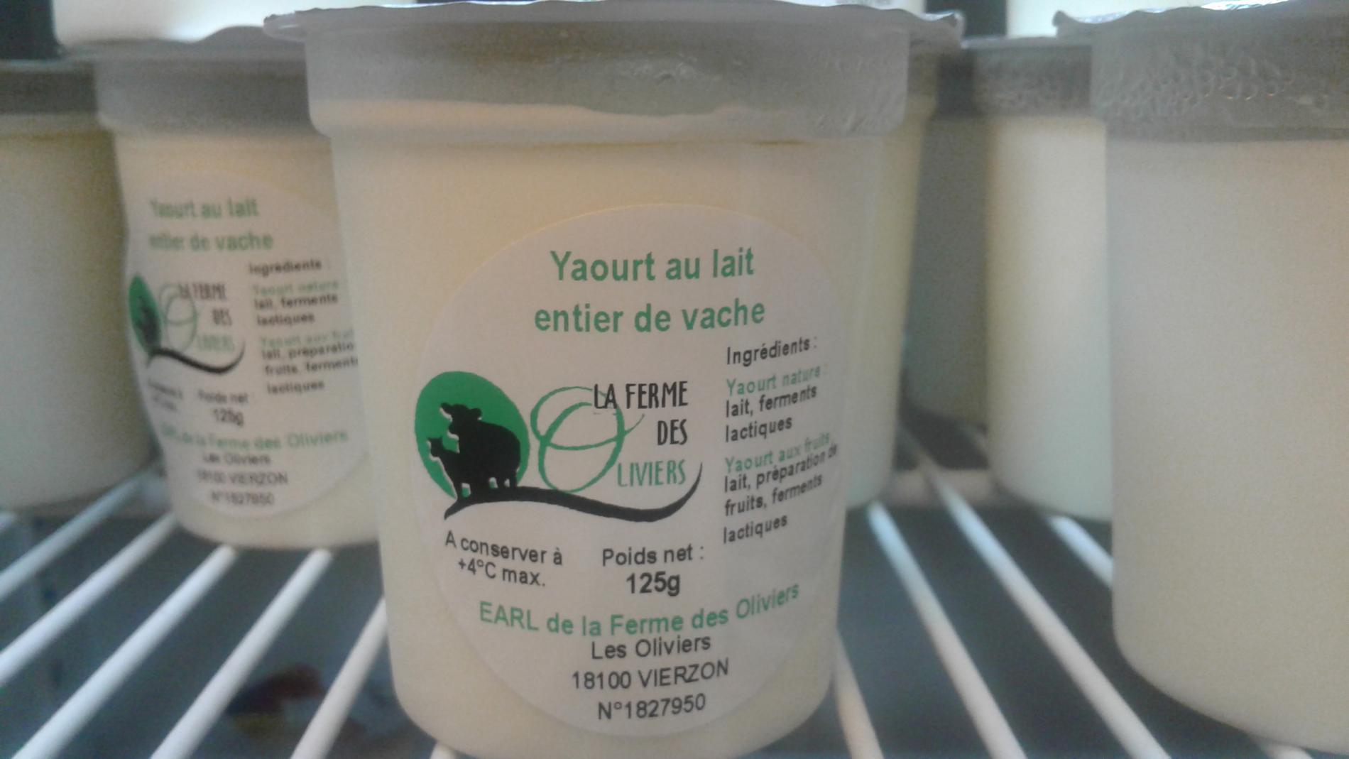Lait De Vache Yaourt